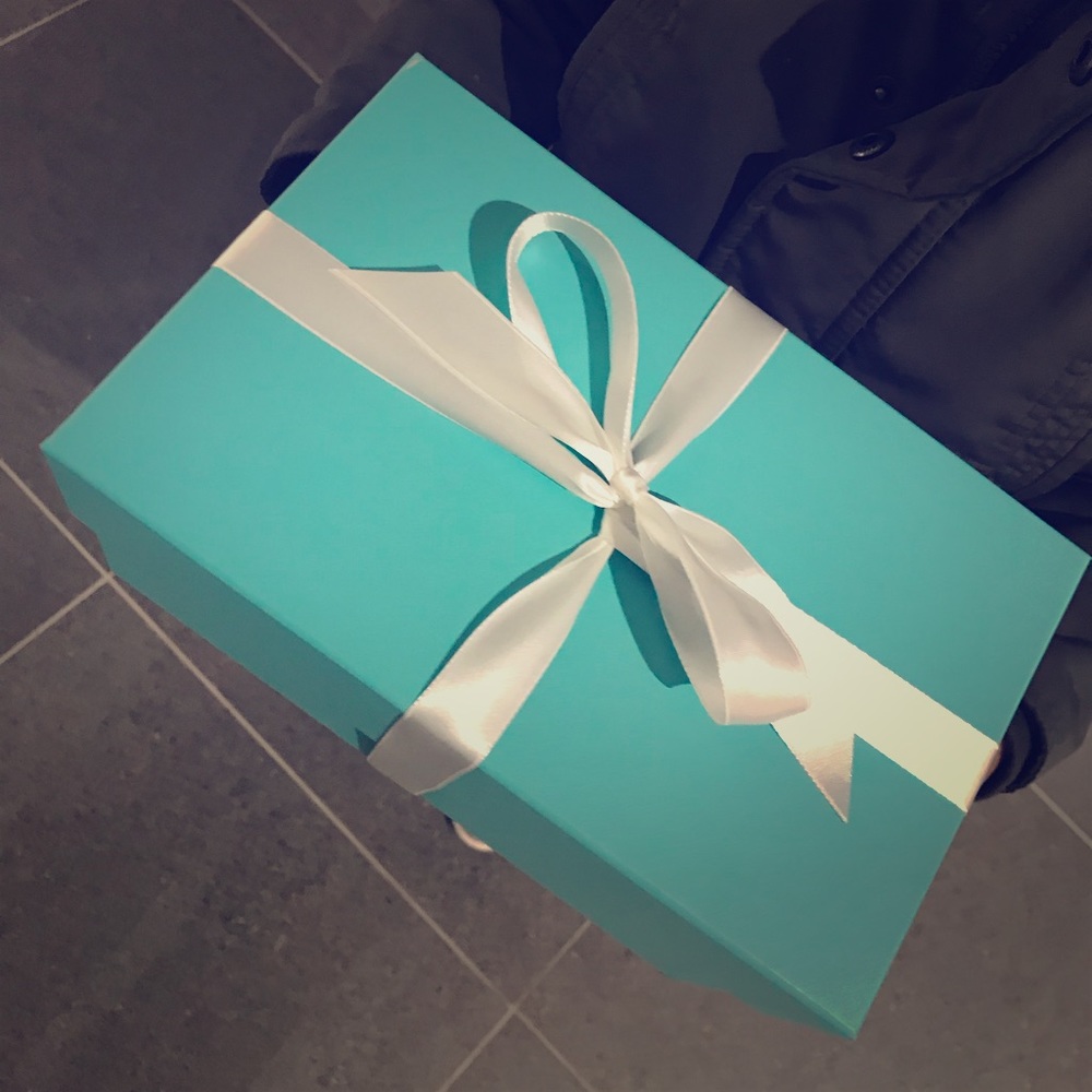 Tiffany & Co *Authentic* zip dome. (Brand new)